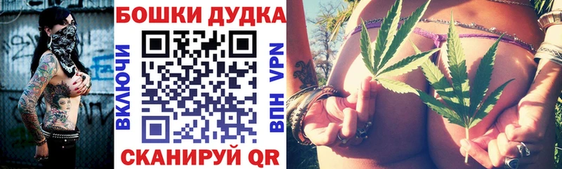 Купить наркотики сайты Хабаровск Бошки Шишки  Галлюциногенные грибы  СОЛЬ  ГАШ  Меф 