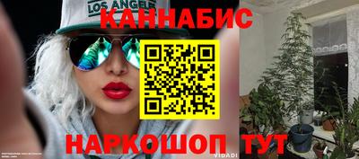 дживик Можга