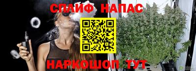 apvp Моздок
