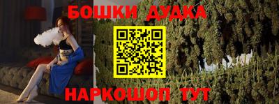 дживик Можга