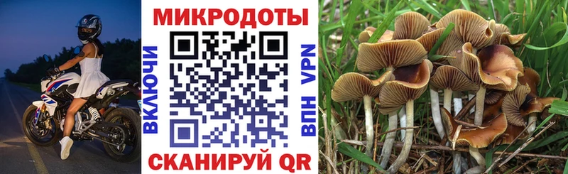 как найти наркотики  Хабаровск  Псилоцибиновые грибы Magic Shrooms 