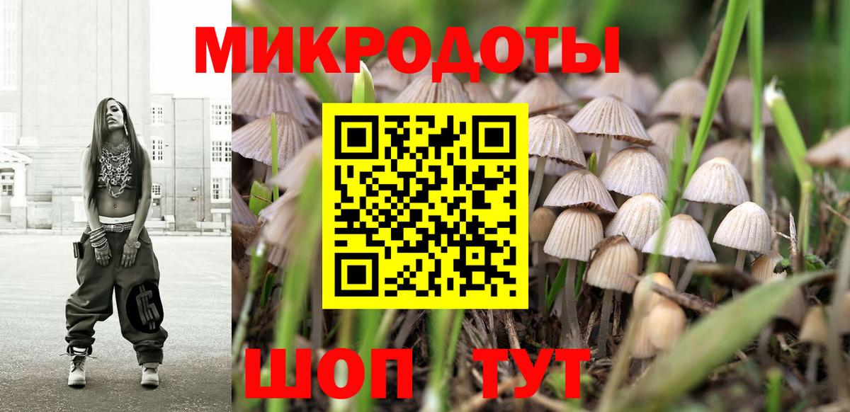 Хабаровск  Псилоцибиновые грибы GOLDEN TEACHER  закладка  Псилоцибиновые грибы MAGIC MUSHROOMS  Вход с VPN 